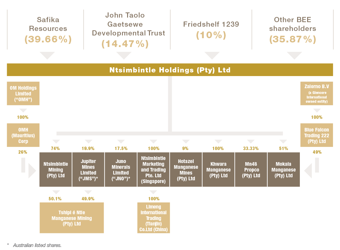Ownership Structure [graph]